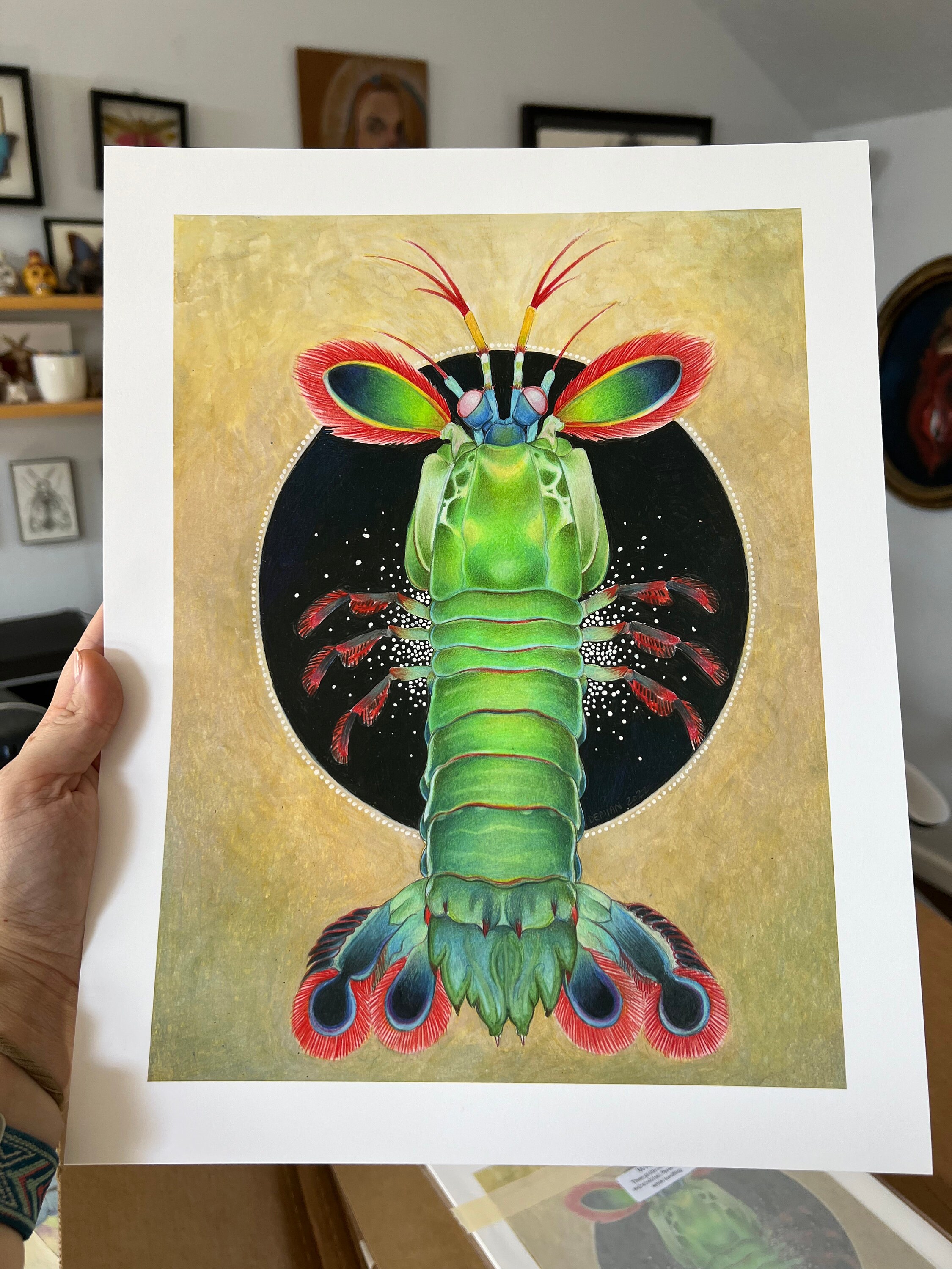 Discover 59+ mantis shrimp tattoo in.cdgdbentre