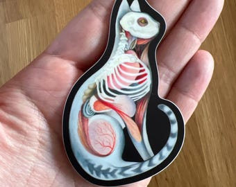 May include: A cat-shaped sticker featuring a detailed anatomical illustration. The sticker showcases the internal organs and skeletal structure of a cat, with a black outline and a light blue and white body.