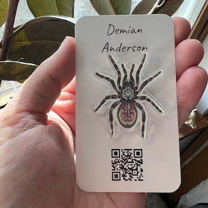 May include: A white business card with the name "Demian Anderson" printed in black. The card features a detailed illustration of a spider with a red and tan abdomen. A QR code is printed at the bottom.