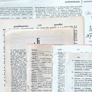 Dictionary Pages, Vintage Ephemera Pack: 25 Assorted Old Illustrated Dictionary Pages for Art and Journals