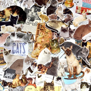 Paquete de 35 recortes con temática de gatos vintage para álbumes de recortes, diarios y regalos