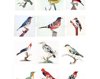Vintage Bird Ephemera Digital Download for Junk Journals and Scrapbooking