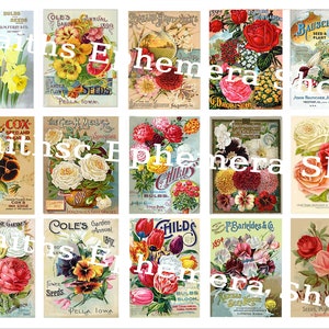 Download digital de sementes de jardim floral vintage, flores efêmeras para scrapbooking e diários