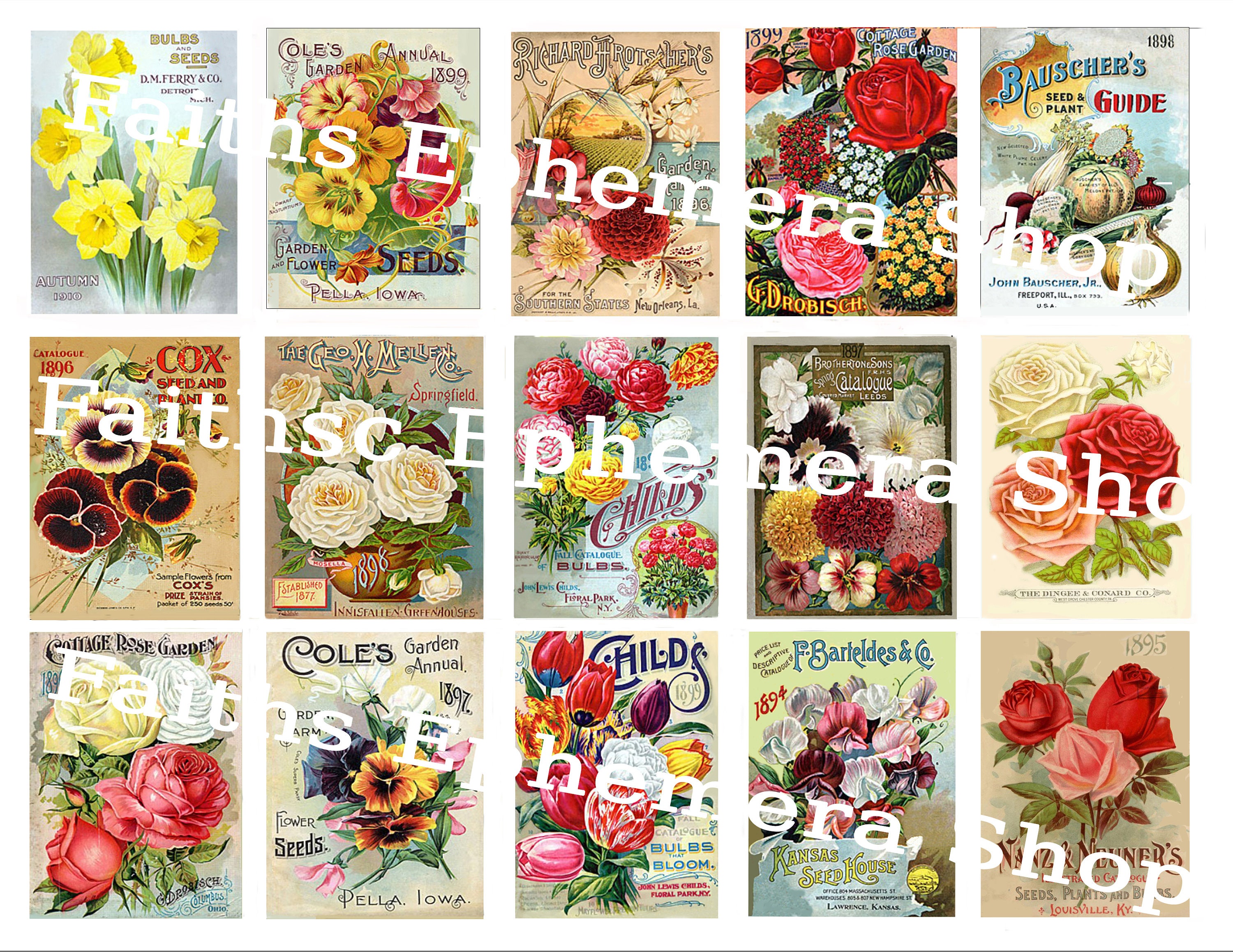 New Find! Lot of 10 Vintage 1934 Better Homes Flower Seed Packets from  Crosman Seed Co., East Rochester, NY!