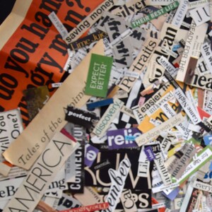 Magazine Cutout Words & Phrases: Scrapbooking, Collage, Vision Boards Collage Art Ephemera for Journals image 2