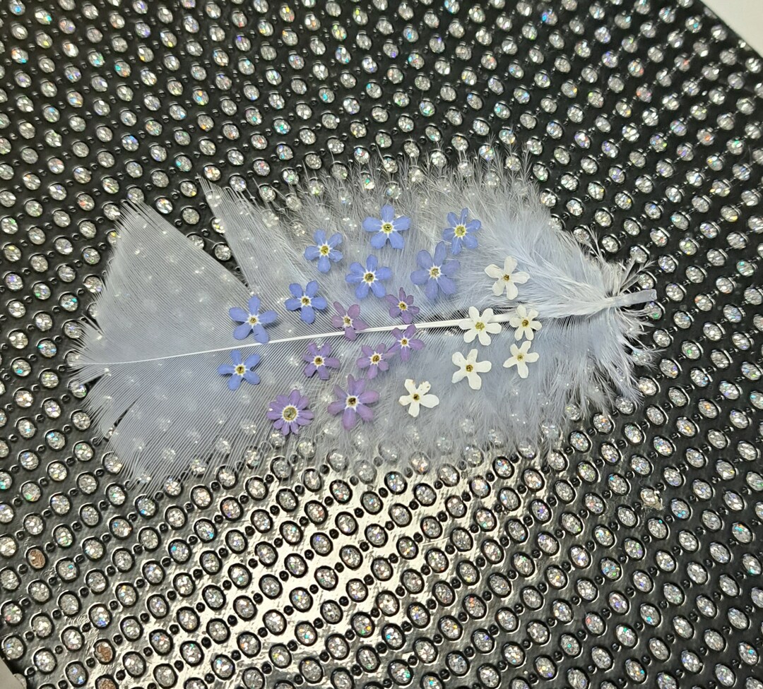 30 /60 Dried 2023 Dried Flowers Mini Etsy Australia