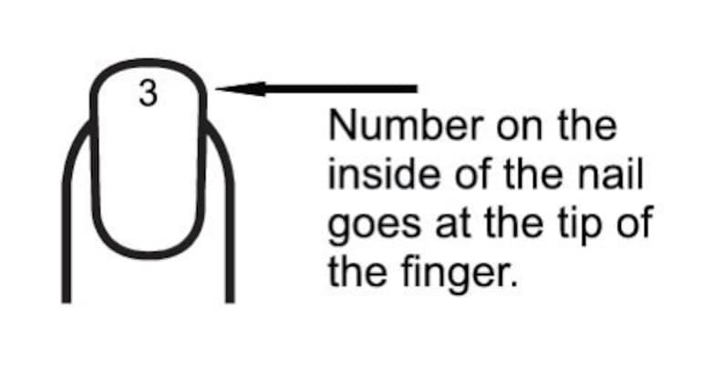 May include: A black and white line drawing of a fingernail with the number 3 printed on the nail surface. An arrow points to the nail tip, accompanied by the text: Number on the inside of the nail goes at the tip of the finger.