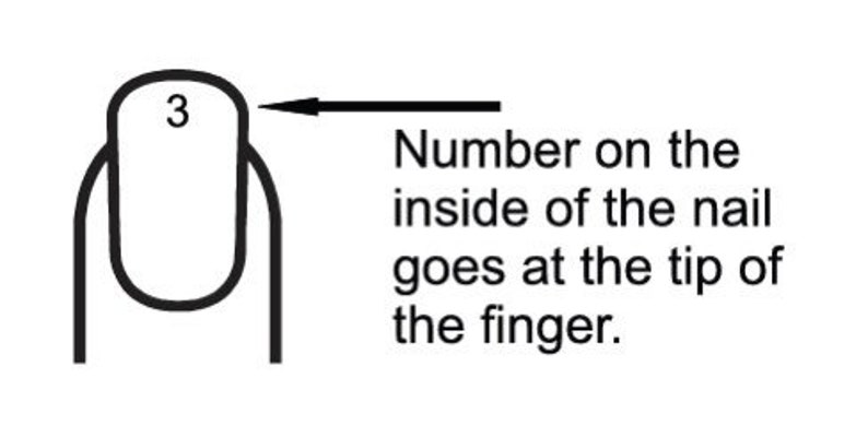 May include: A black and white line drawing of a fingernail with the number 3 printed on the nail surface. An arrow points to the nail, accompanied by the text: Number on the inside of the nail goes at the tip of the finger. The graphic illustrates placement.