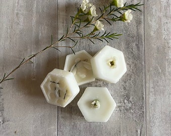 Citronella Wax Melts, Keep the Bugs Away Indoors or Out