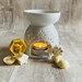 Wax Burner Gift Set - Petal 