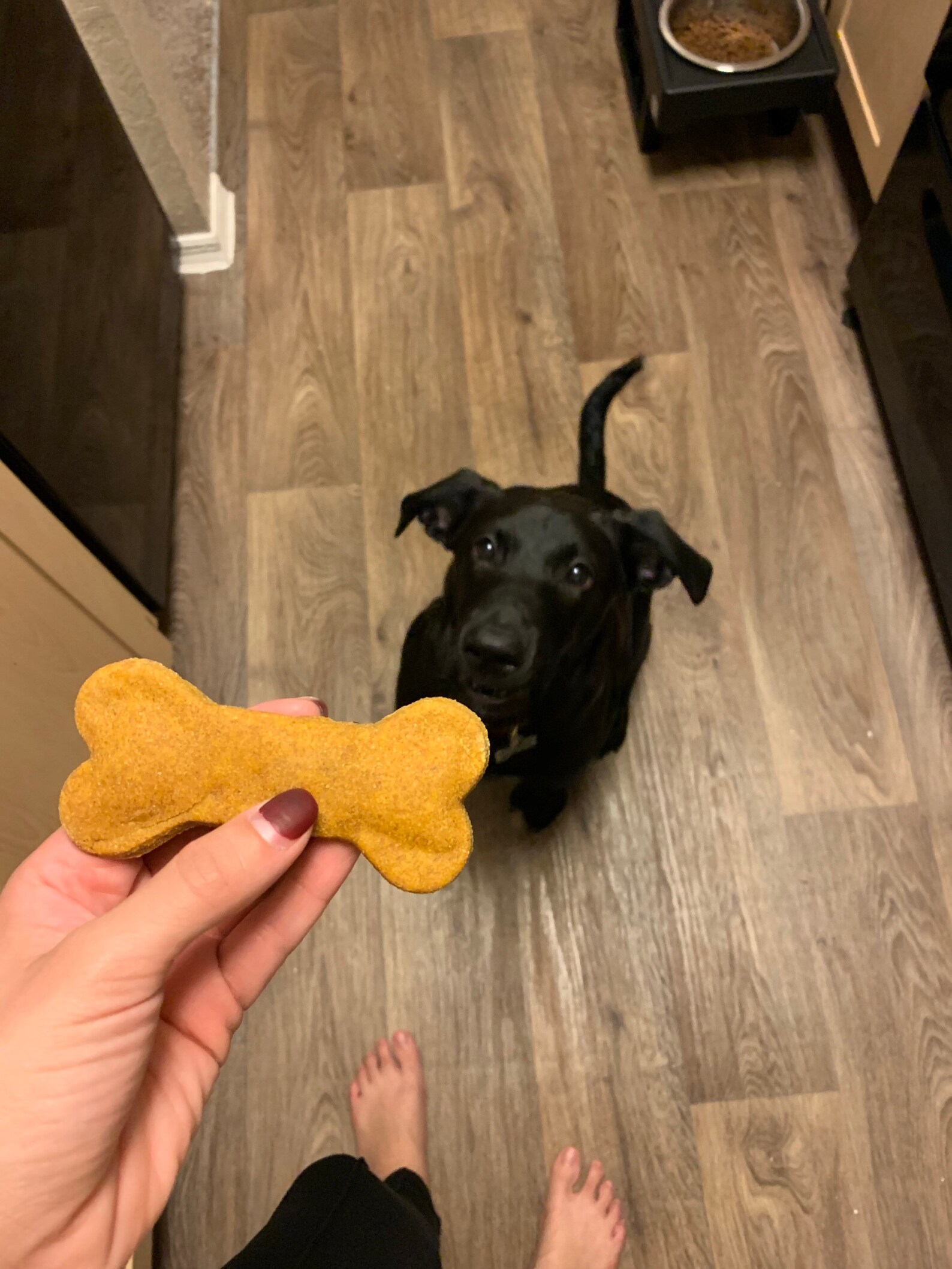 Good O dog treats Etsy