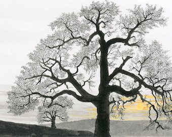 OAKS AT SUNSET is an original pen and ink Giclee archival ink print of two beautiful Californian oak trees as day comes to an end.