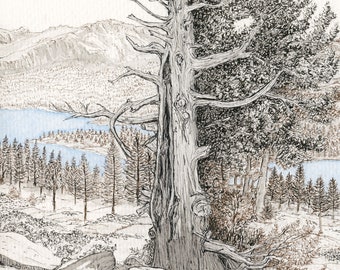 BEAUTIFUL IMPERFECTION is a limited-edition print of an imperfect old weather-beaten tree overlooking a beautiful vista in Amador County.