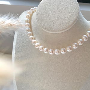 May include: A necklace of creamy white, round pearls displayed on a white jewellery bust. The pearls are evenly sized and have a subtle lustre. The bust is made of a soft, textured material, and the background is softly lit.