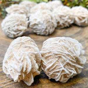 Desert Rose Selenite Buds, Desert Rose - selenite rose, Raw Selenite Crystal - healing crystals and stones - selenite natural desert rose