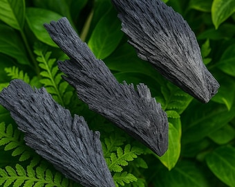 Black Kyanite Blades: Healing Crystal Wands, Wicca Supplies
