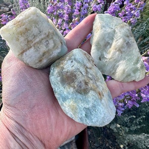 May include: Three light blue and white aquamarine crystals with a rough, natural texture. The crystals are held in a hand against a background of purple flowers.