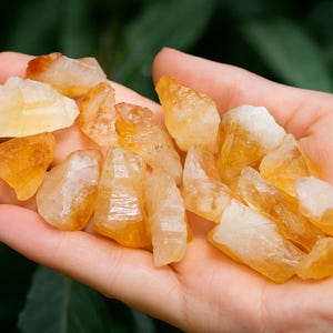 Citrine Crystals – Heat Treated AAA Quality – Raw Yellow Quartz from Brazil (1" - 1.5")