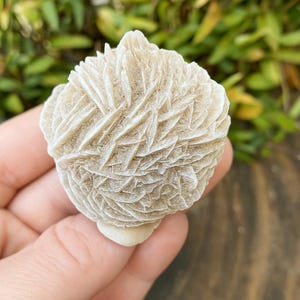 May include: A close-up of a white, rose quartz geode with a delicate, layered, and textured surface.