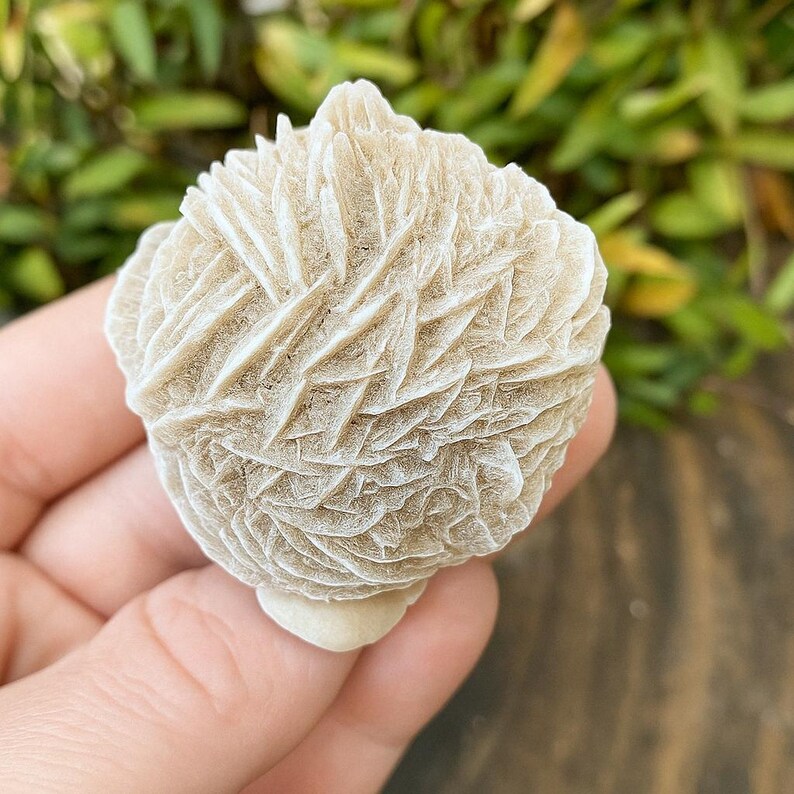 May include: A close-up of a white, rose quartz geode with a delicate, layered, and textured surface.