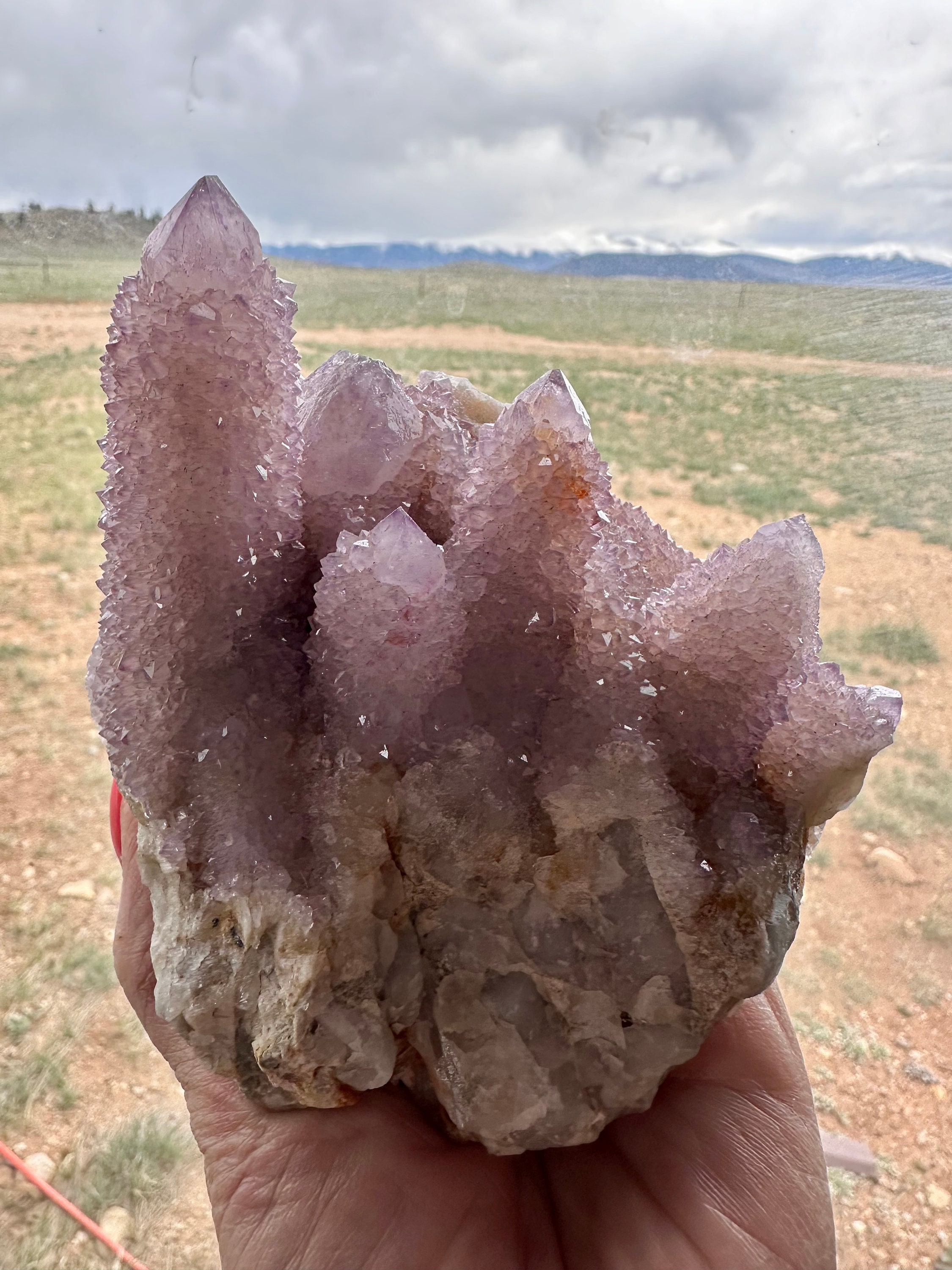 Cactus quartz - Etsy 日本