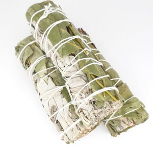 Eucalyptus White Sage Smudge Stick: Cleansing & Healing (4 Inch)