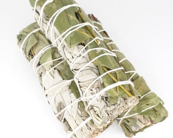 Bastoncini di eucalipto e salvia bianca - Confezione detergente da 4 pollici