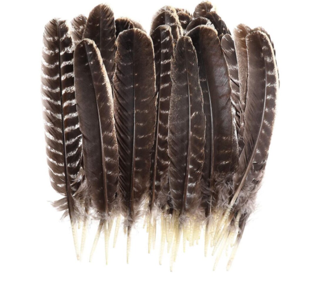 Natural Turkey Feathers Bulk Feather 1012 in Wild Turkey Etsy