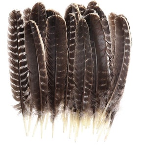 Natural Turkey Feathers (10-12 in): DIY Craft Supplies, Cleansing Ritual