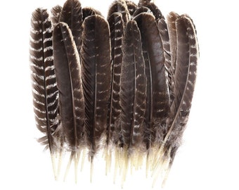 Natural Turkey Feathers, Bulk Feather, 10-12 in Wild Turkey Feather for DIY Crafts, Feather, Cleansing Ritual, Pack  of 1-10 Feathers.