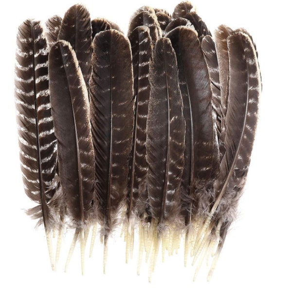 Plumes de dindon naturelles, en vrac, 10-12 po. Plumes de dindon sauvage pour travaux manuels, plumes, rituel de nettoyage, lot de 1-10 plumes.