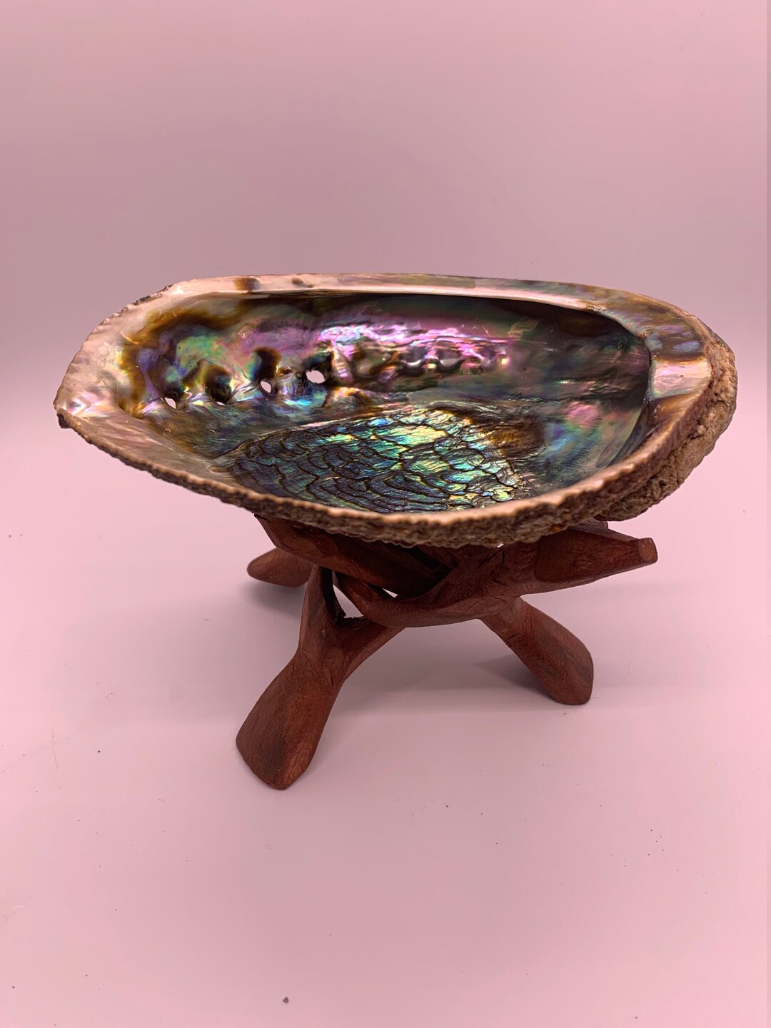 Abalone Shell Smudging Bowl: Seashell Incense Burner (5-7 Inch) - Etsy