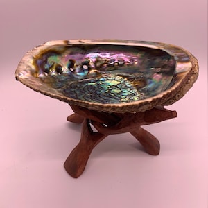 Abalone Shell Smudging Bowl: Seashell Incense Burner (5-7 inch)
