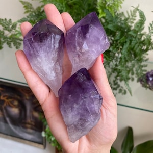 Raw Amethyst Point: Natural Healing Crystal (1-8 inch)