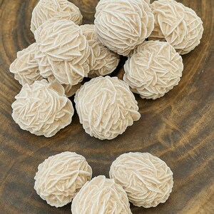 May include: A collection of 10 rose quartz crystals, also known as desert roses, on a wooden surface. The crystals are a light beige color and have a unique, layered, rosette-like formation.