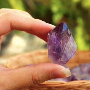 May include: A deep purple amethyst crystal point with a natural, faceted shape. The crystal is held in a hand, with other amethyst crystals visible in a wicker basket.