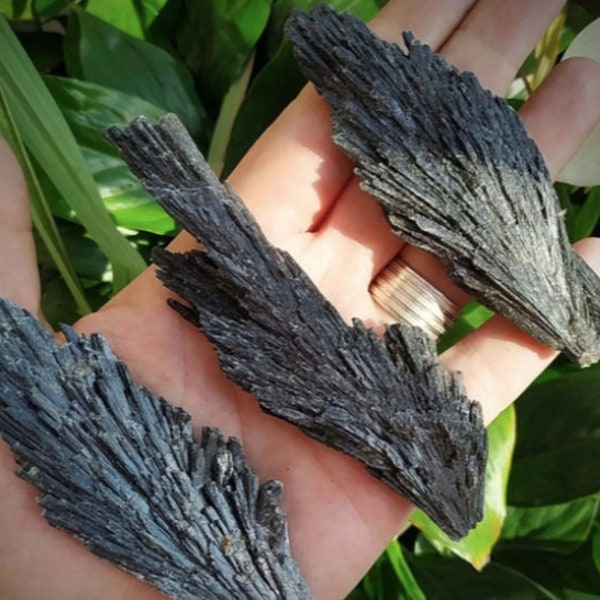 Black Kyanite Blades - Huge  Black Kyanite Fans, Wicca,  Wands - Bulk lot Black Kyanite,  Aligned With All Chakra, Healing Crystals -