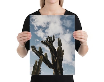 Cactus Sky Poster