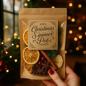Holiday Simmer Pot Kits - Stovetop Potpourri with Dried Fruits & Spices - Christmas Morning
