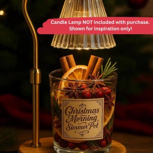 Holiday Simmer Pot Gift - Stovetop Potpourri Jars with Dried Fruits & Spices - Christmas Morning image 7