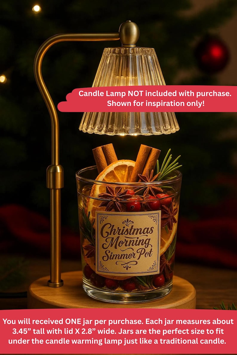 Holiday Simmer Pot Gift - Stovetop Potpourri Jars with Dried Fruits & Spices - Christmas Morning image 7
