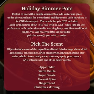 Holiday Simmer Pot Gift - Stovetop Potpourri Jars with Dried Fruits & Spices - Christmas Morning image 5