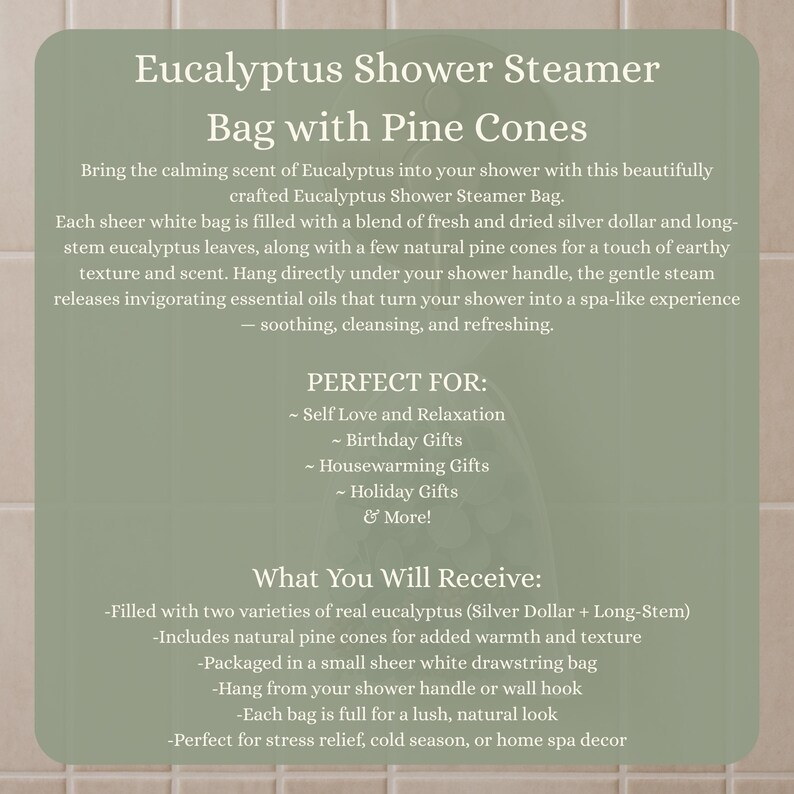 Eucalyptus Shower Steamer Bag with Pine Cones | Spa Shower Aromatherapy | Natural Home Gift Christmas