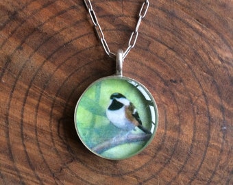 Chickadee en hojas verdes exuberantes