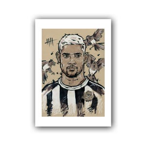 BRUNO (PRINT)