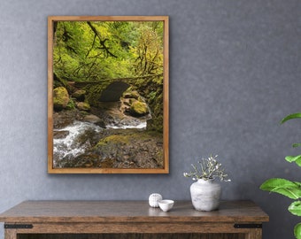 Oregon Landscape Photography | Multnomah Print | Mossy PNW | Pacific North West Nature Wall Art | Oregon Decor | Green Moss Nature Photo