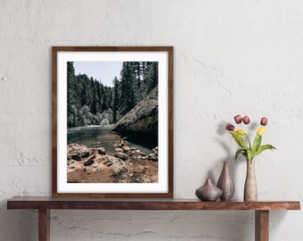 Oregon Landscape Photography Print | Umpqua Willamette Valley | Forest Photography | Pacific Northwest Print | Wall Print | Moody Photograph