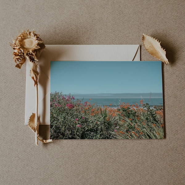 Floral Beach Postcard 5x7 | Oregon Beach Photography Postcard | Flower Notecard | Correspondence | Photography Print | Wild Flowers Gift