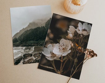 Photography Postcard Set of 2 | 5x7 Notecards | Oregon Coast | Wild Roses | Correspondence | Landscape Print | Nature Photo Gifts | Moody