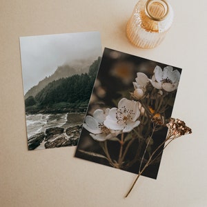 Fotografie Ansichtkaart Set van 2 | 5x7 Notitiekaarten | Oregon Kust | Wilde Rozen | Correspondentie | | voor landschapsafdrukken Natuur Foto Geschenken | Humeurig